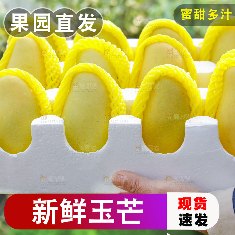 玉芒