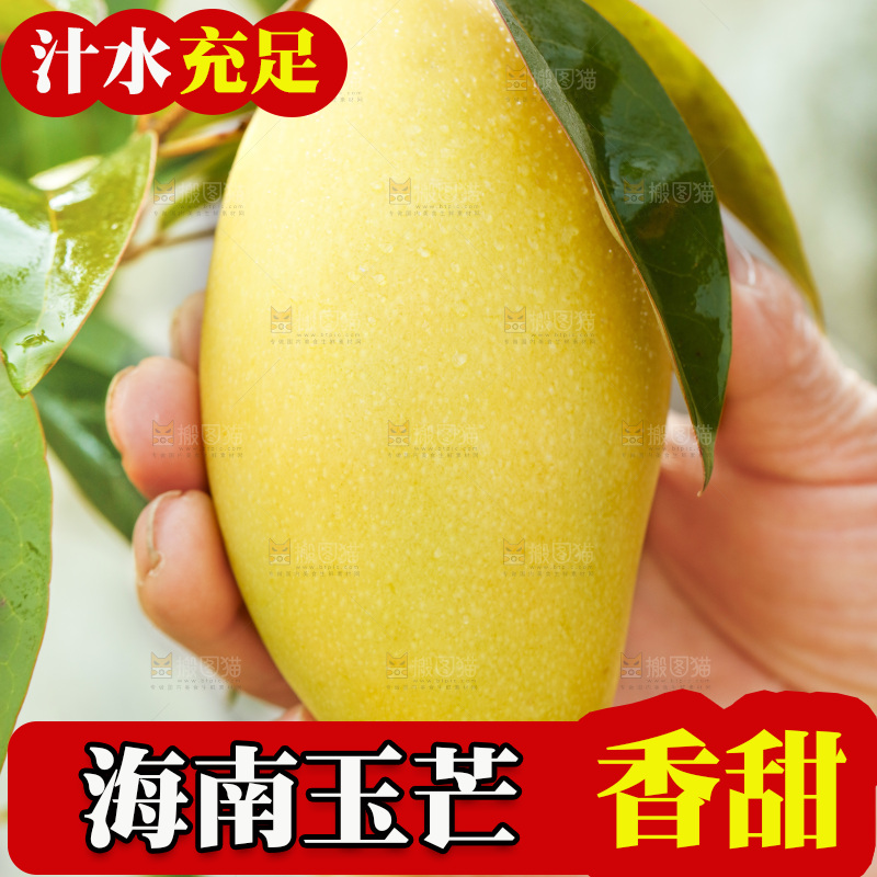 玉芒