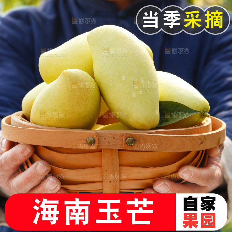 玉芒