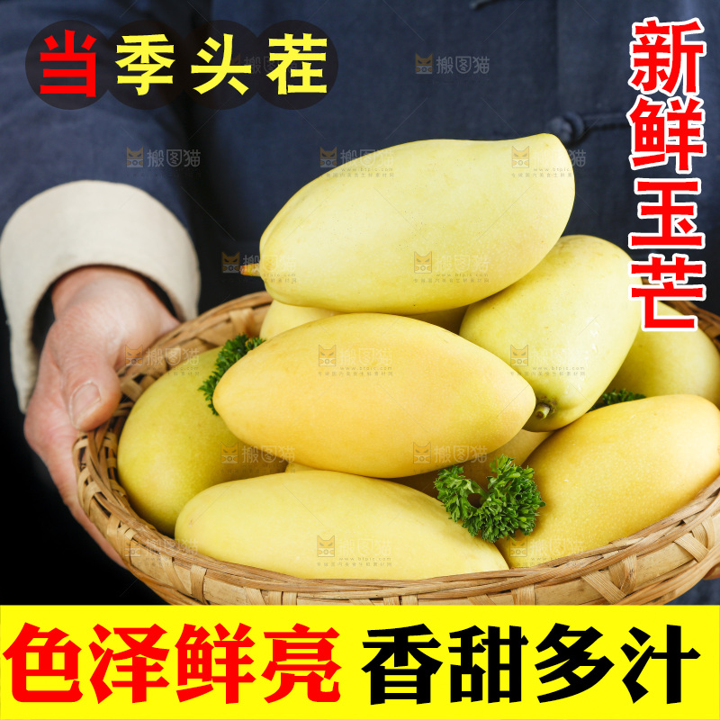 玉芒