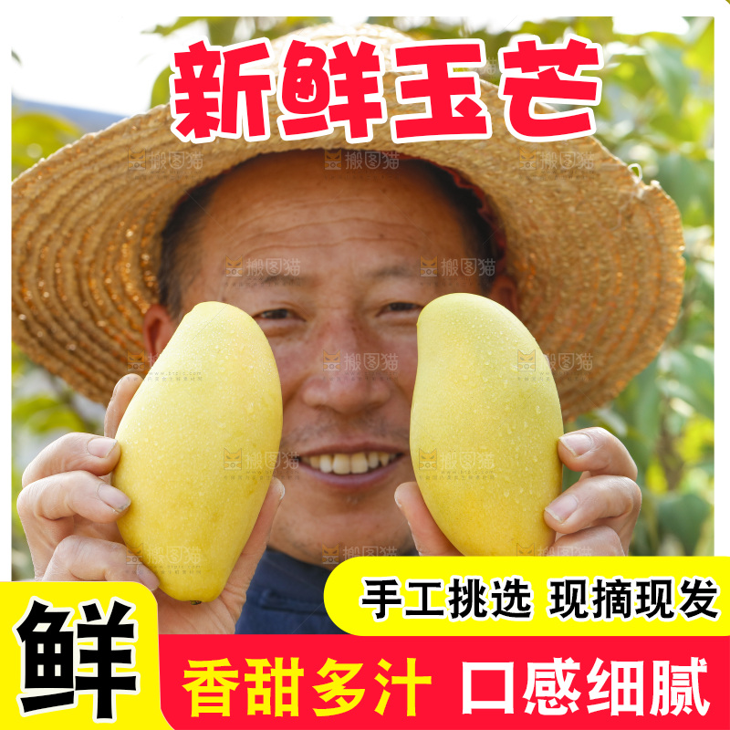玉芒