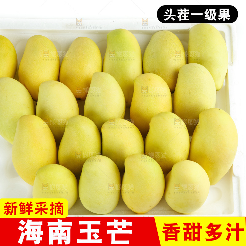 玉芒