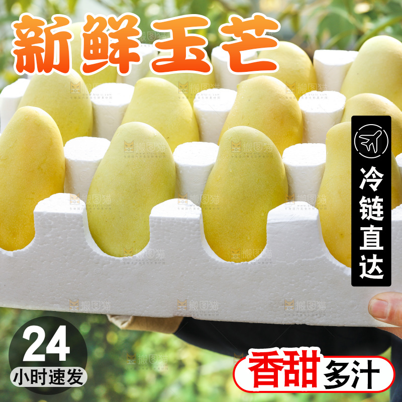 玉芒