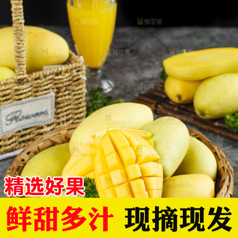 玉芒