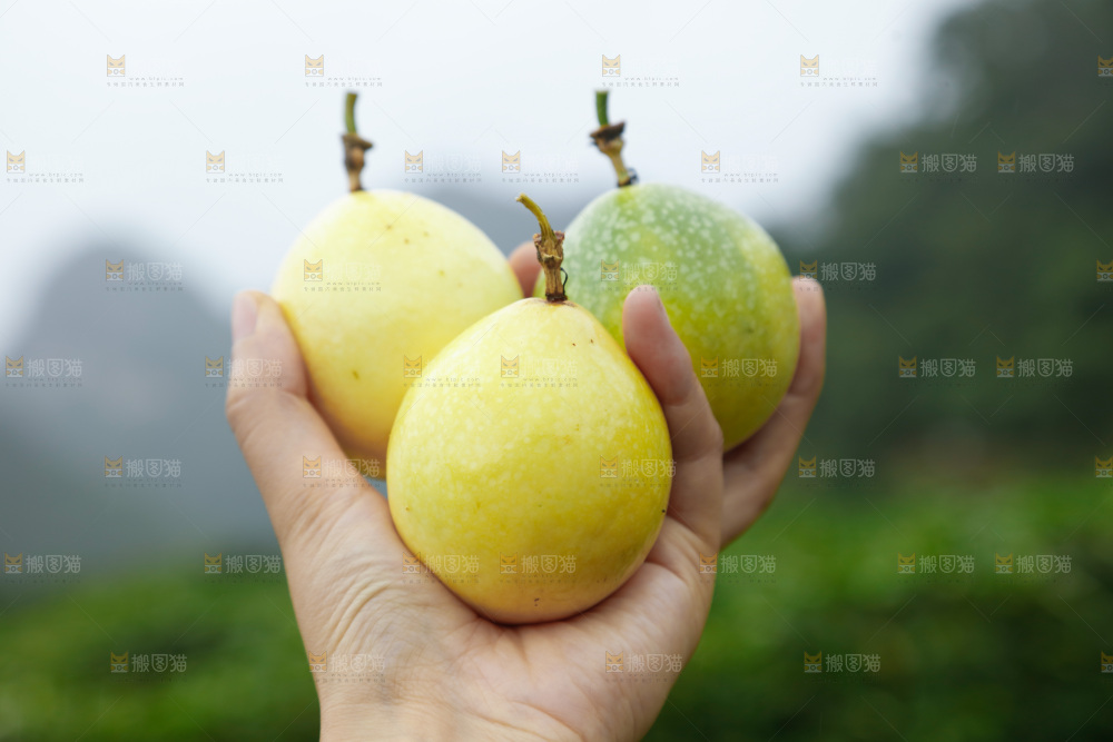 百香果打包