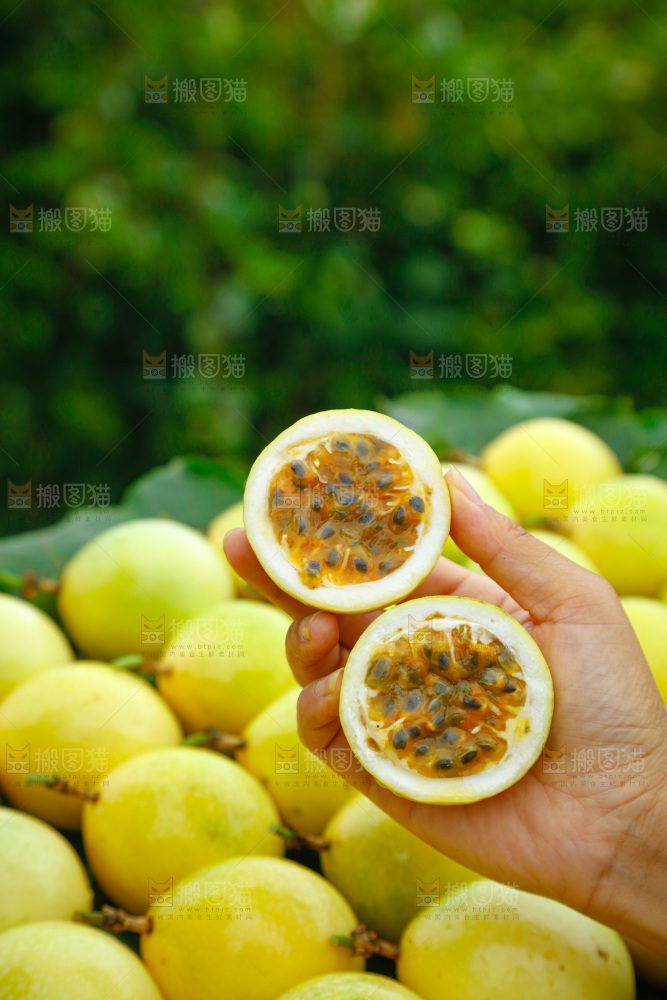 黄金百香果