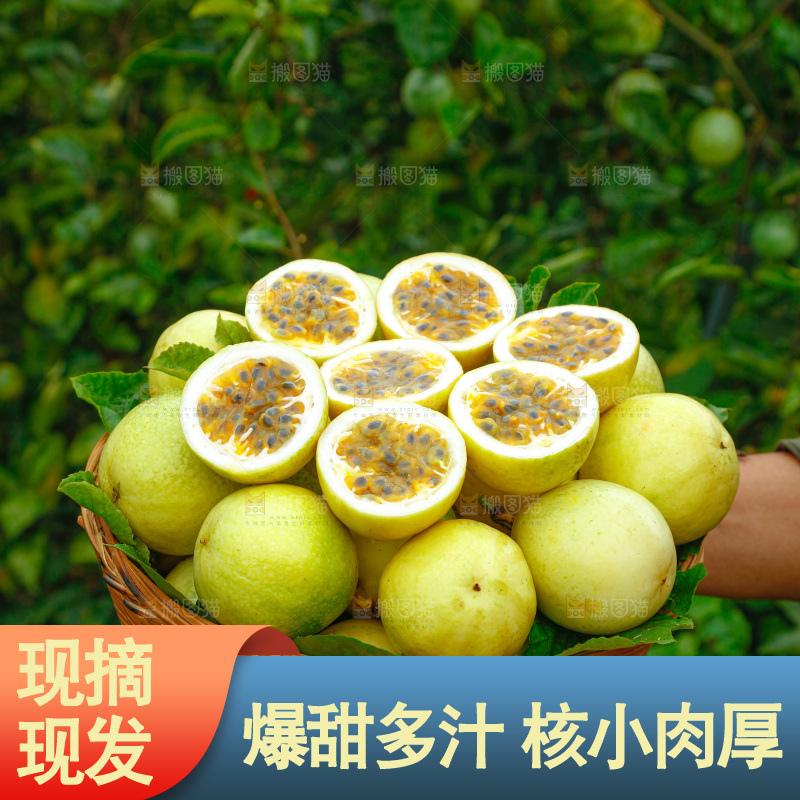黄金百香果