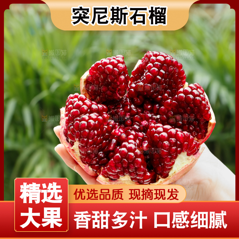 软籽石榴
