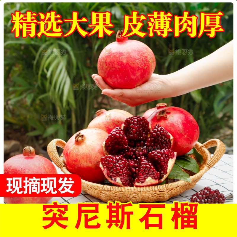 软籽石榴