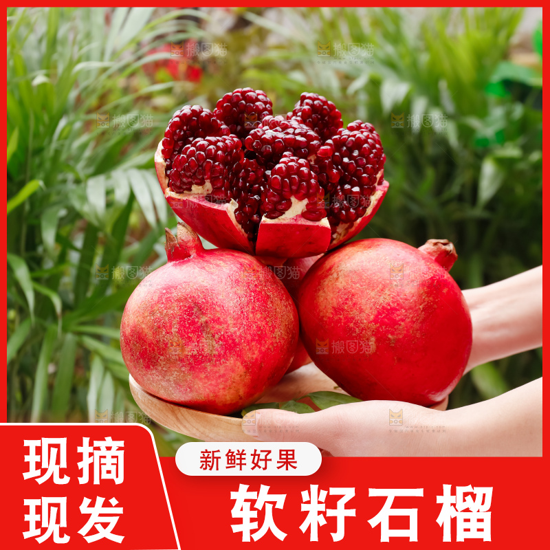 软籽石榴