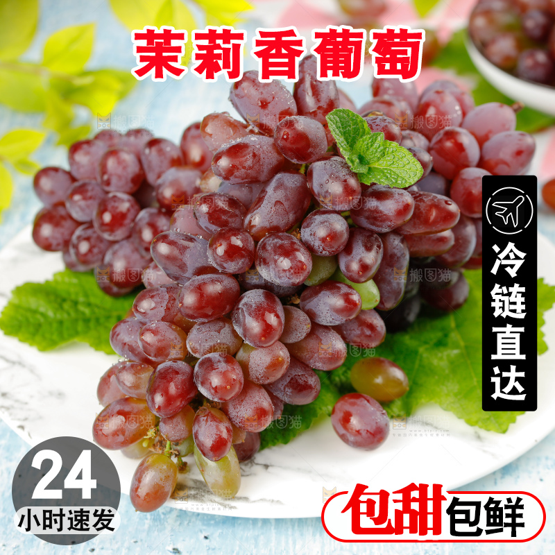 茉莉香葡萄