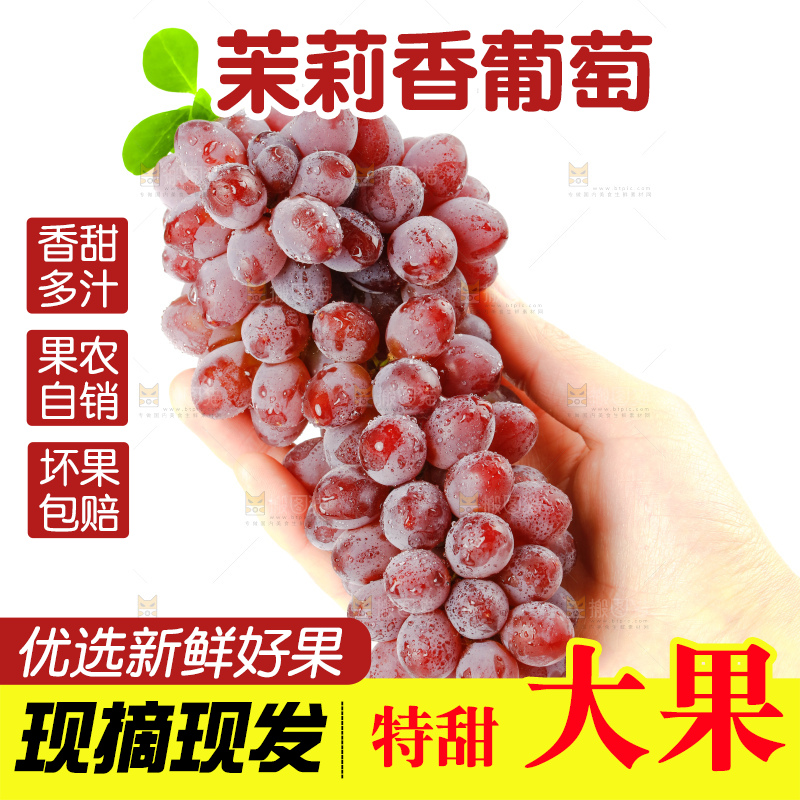 茉莉香葡萄
