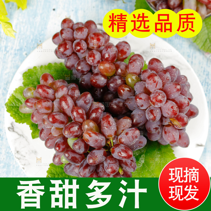 茉莉香葡萄