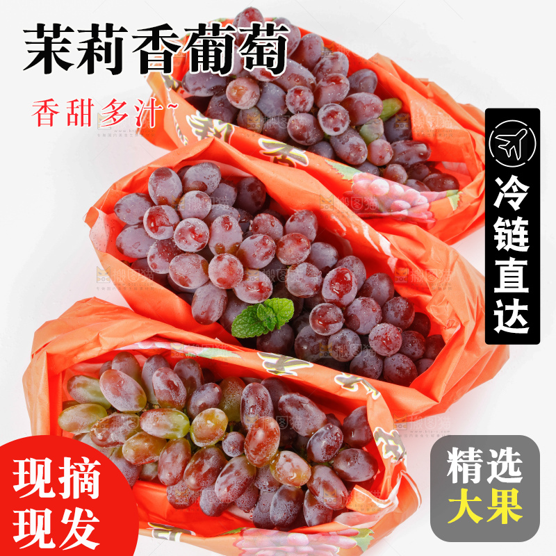 茉莉香葡萄