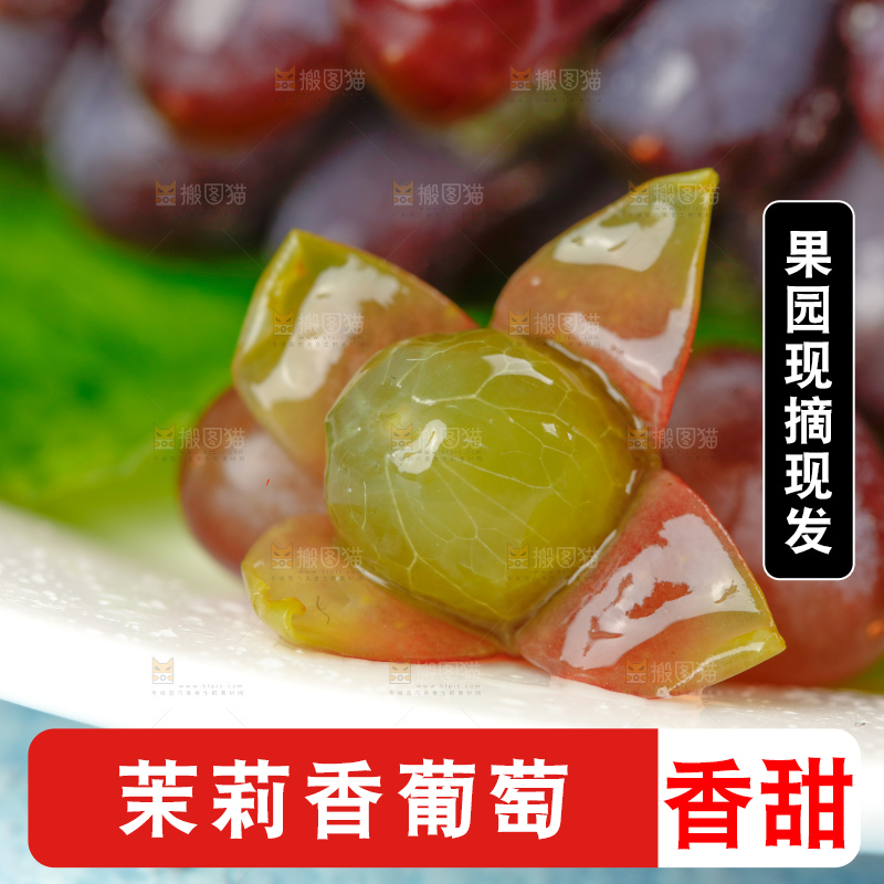 茉莉香葡萄