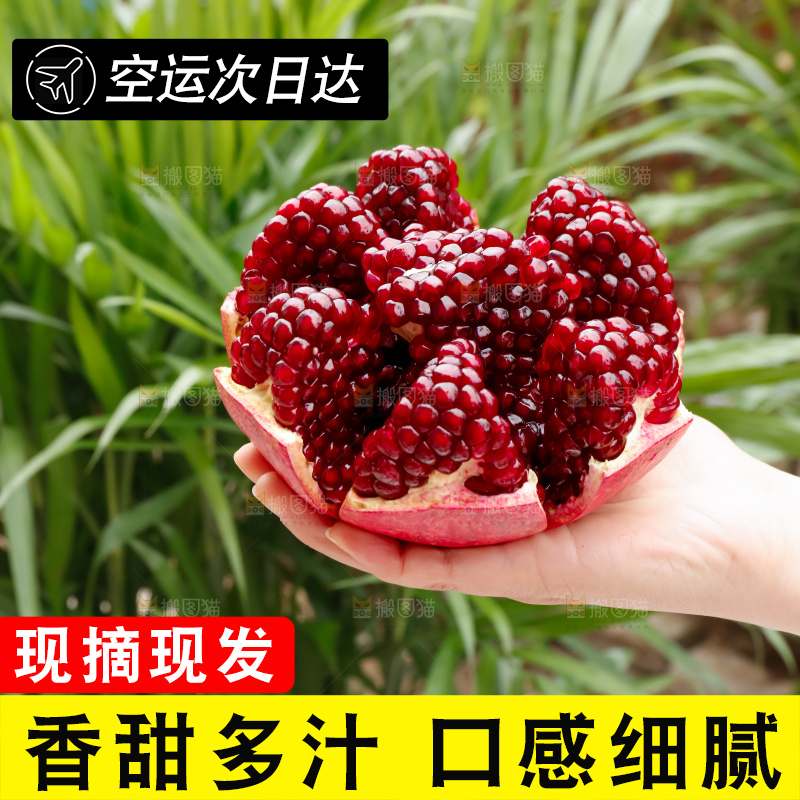 软籽石榴