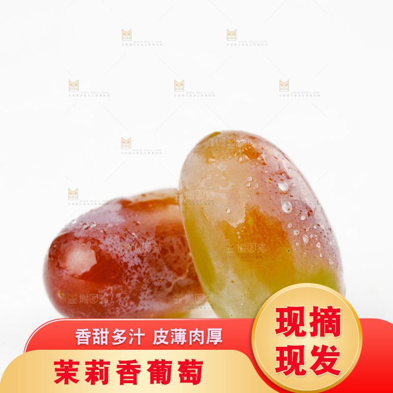 茉莉香葡萄