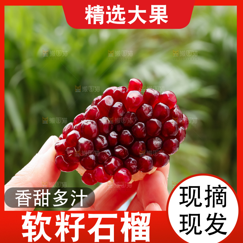 软籽石榴
