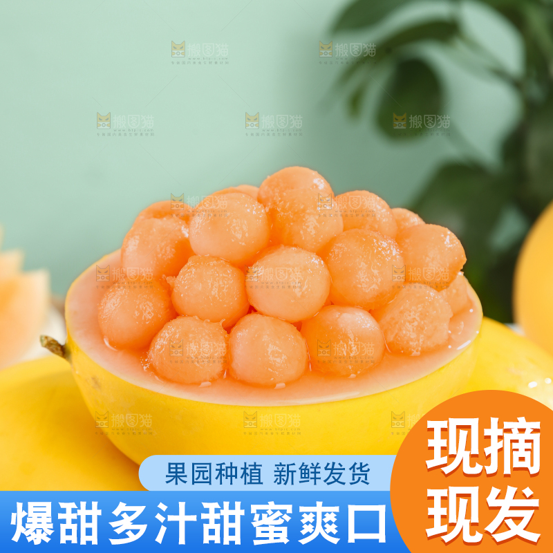 民勤蜜瓜