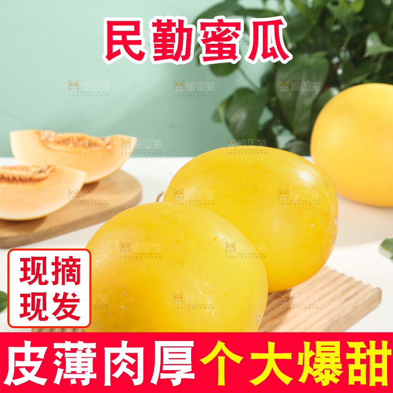 民勤蜜瓜