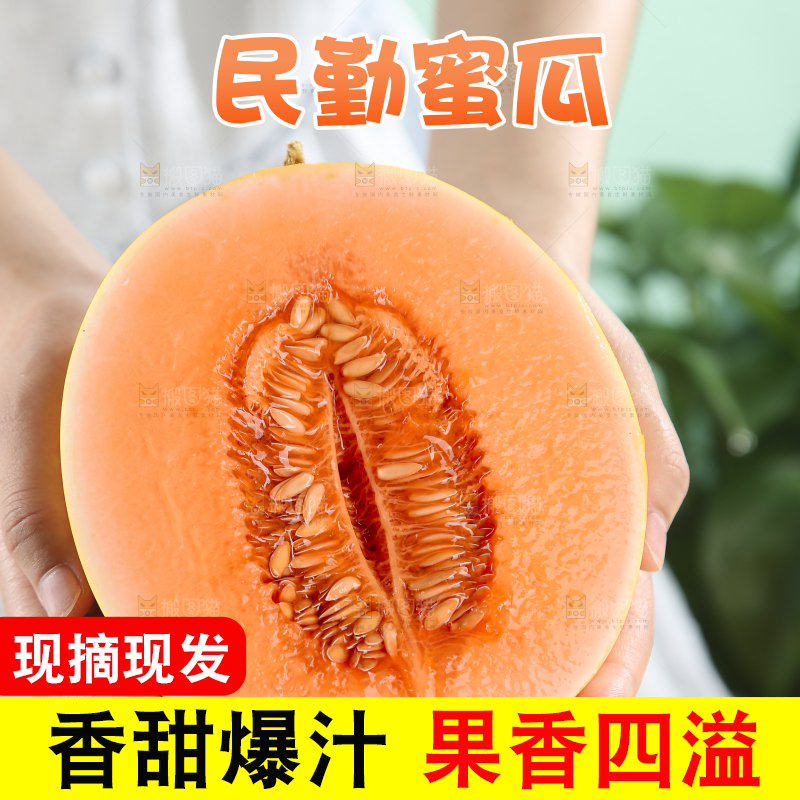 民勤蜜瓜