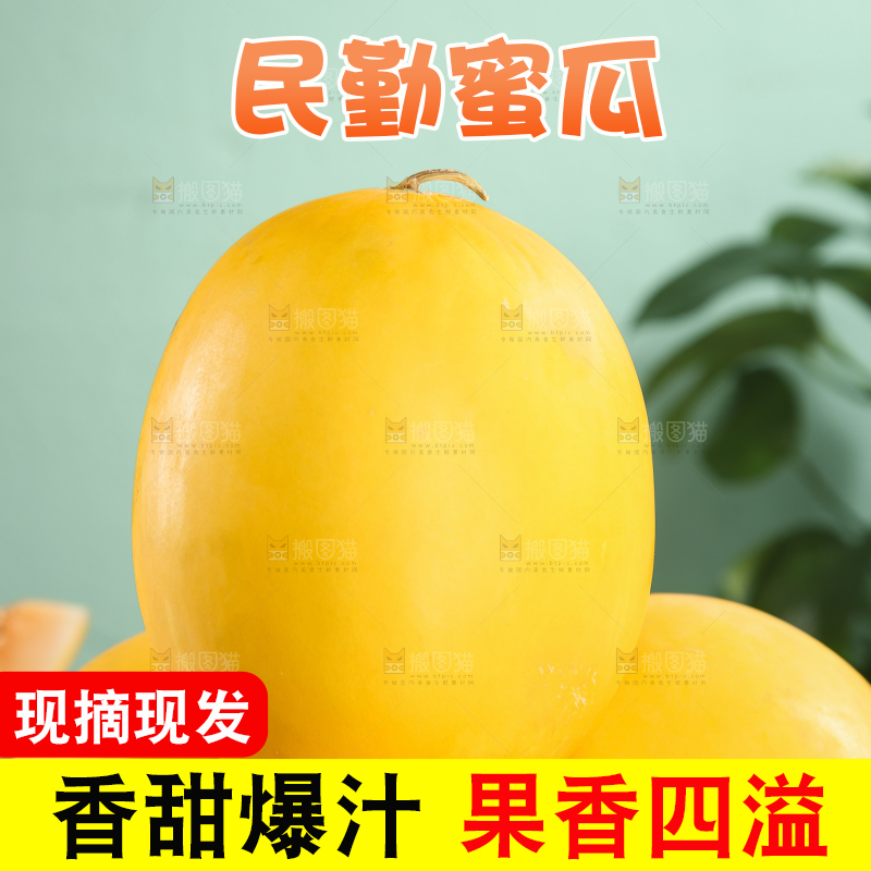 民勤蜜瓜