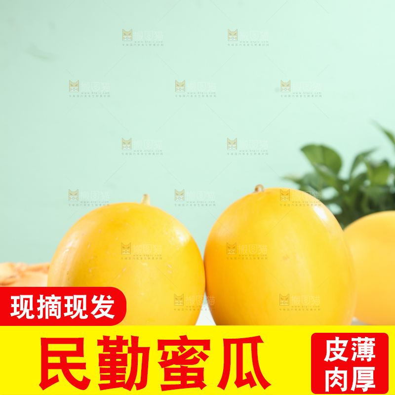 民勤蜜瓜