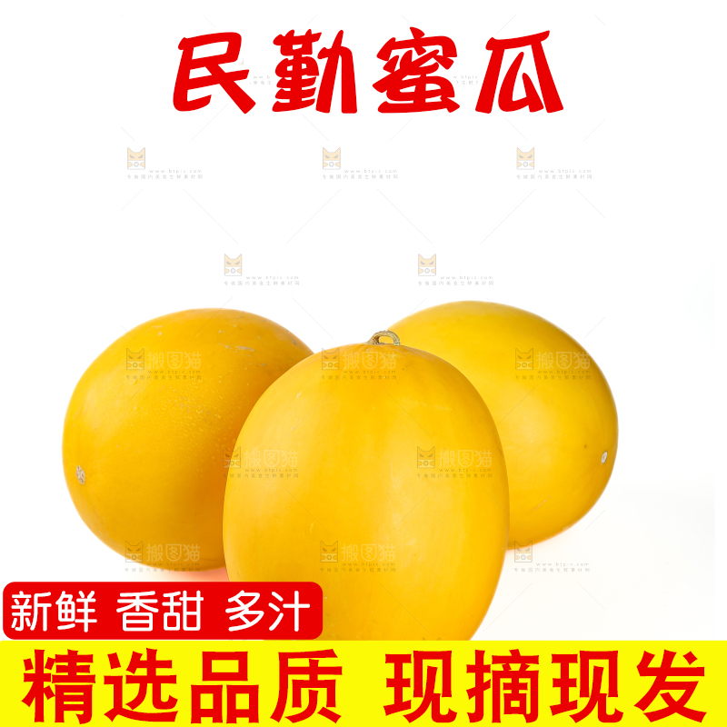 民勤蜜瓜