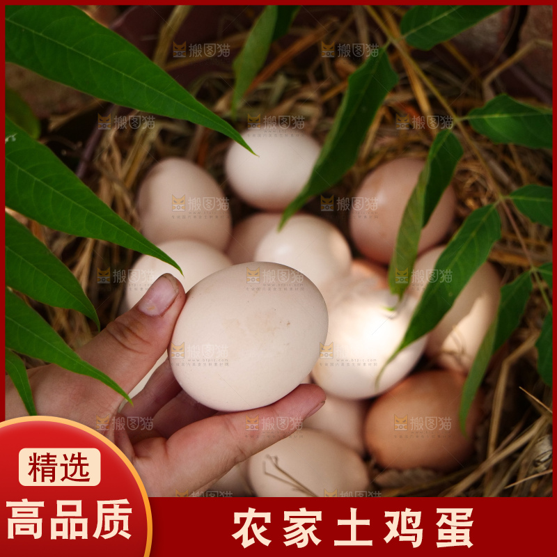 土鸡蛋