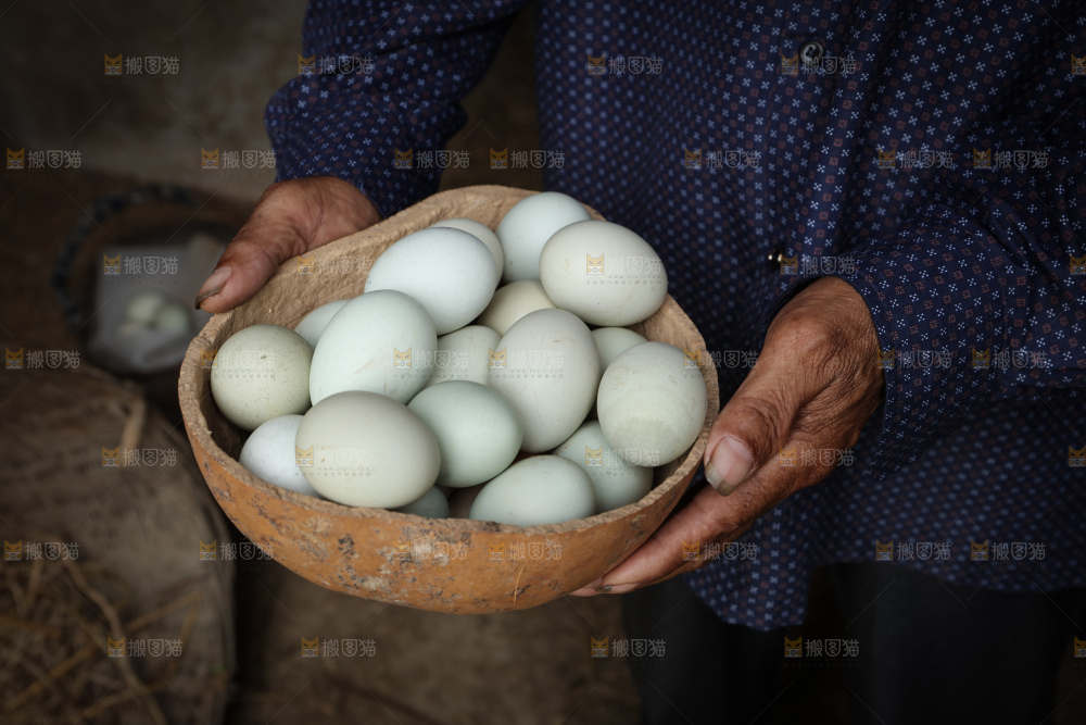 绿壳土鸡蛋