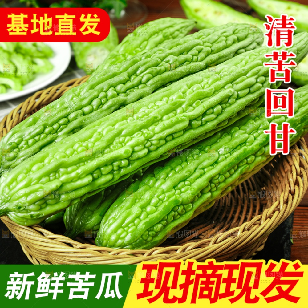 苦瓜主图