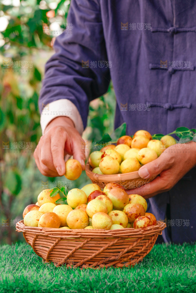 大荔冬枣