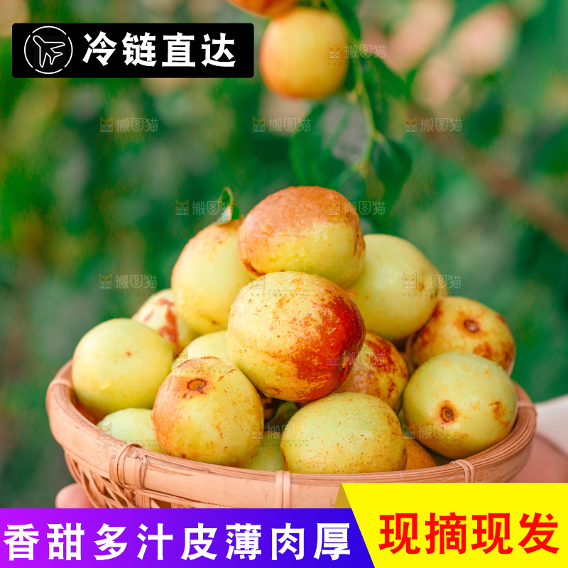 大荔冬枣