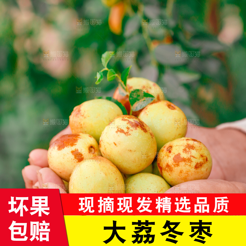 大荔冬枣