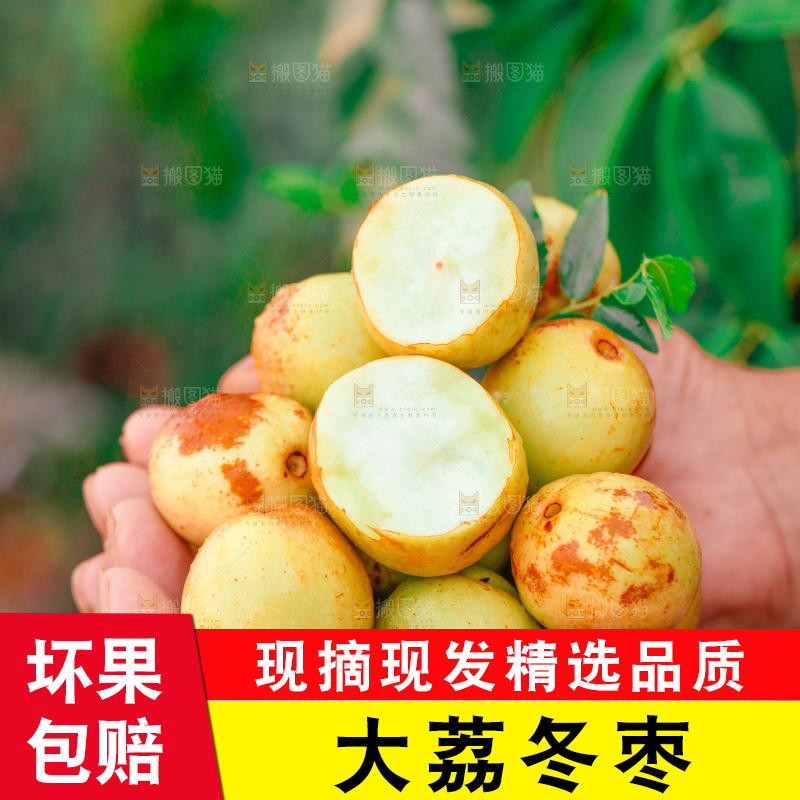 大荔冬枣