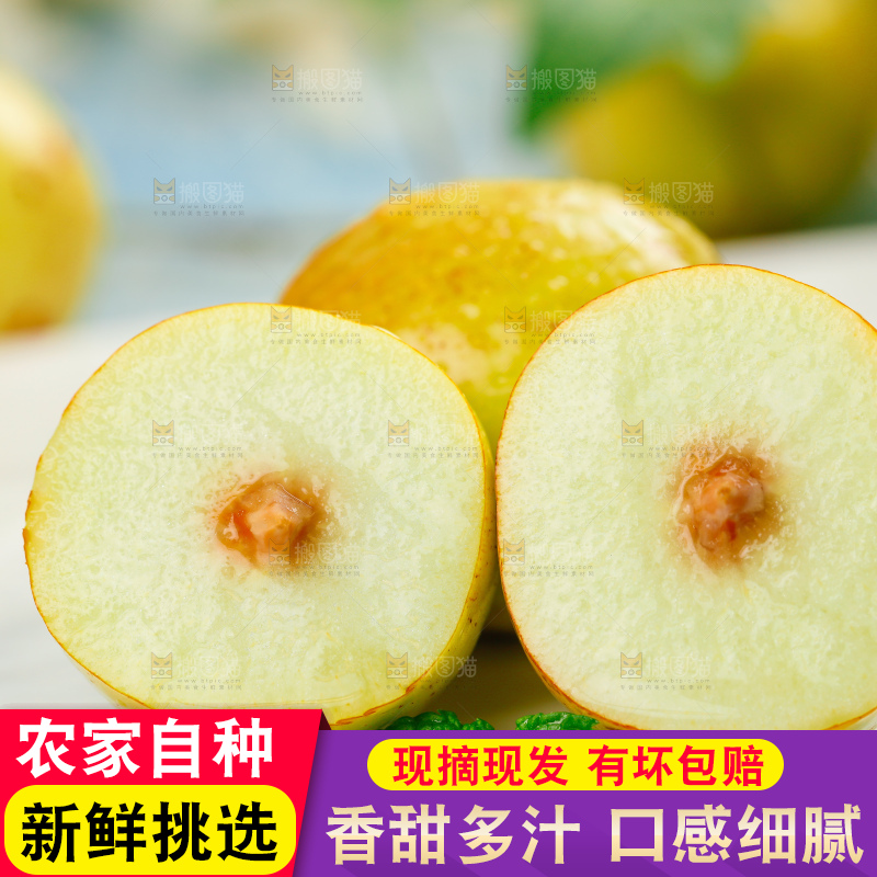 大荔冬枣