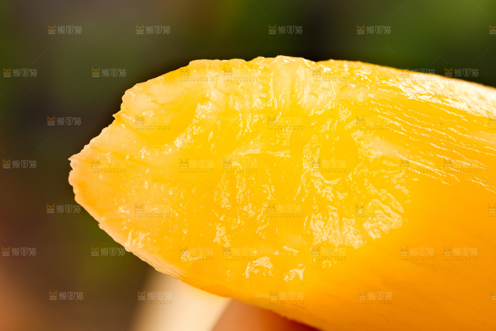 雪莲果