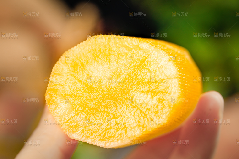 雪莲果