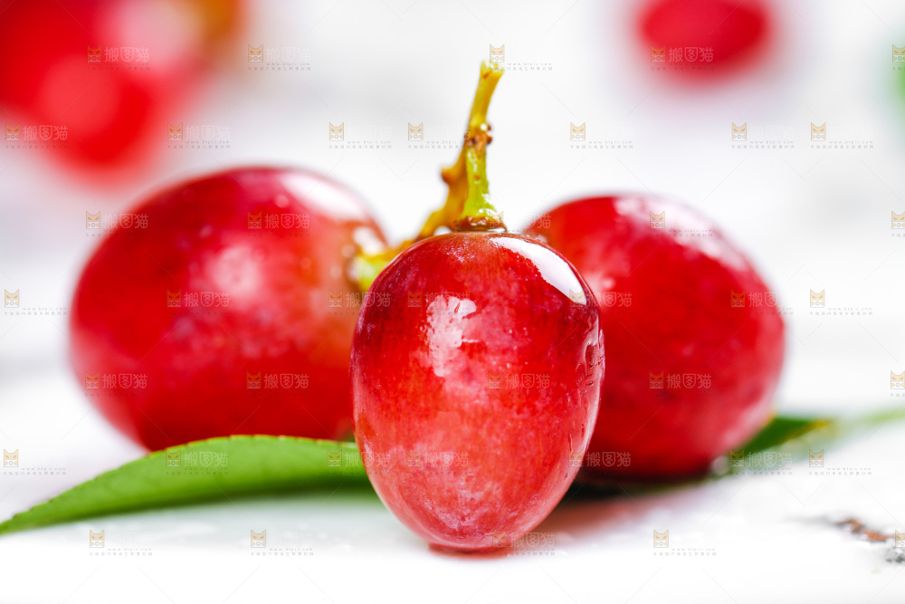 茉莉香葡萄