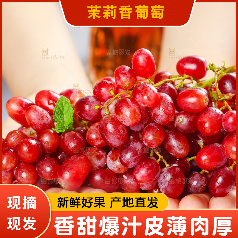 茉莉香葡萄
