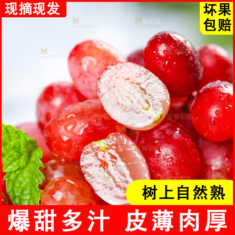 茉莉香葡萄