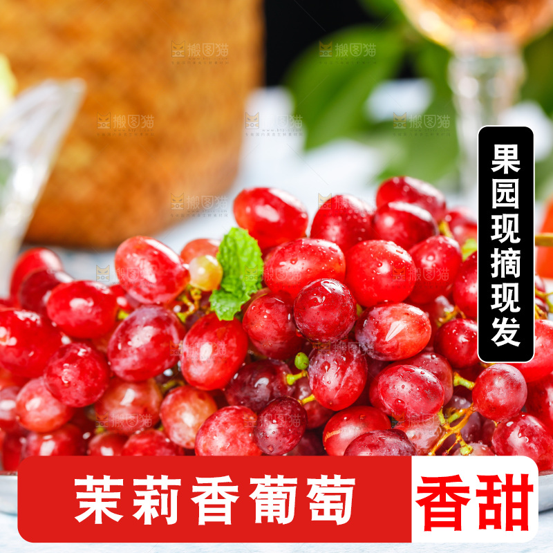 茉莉香葡萄