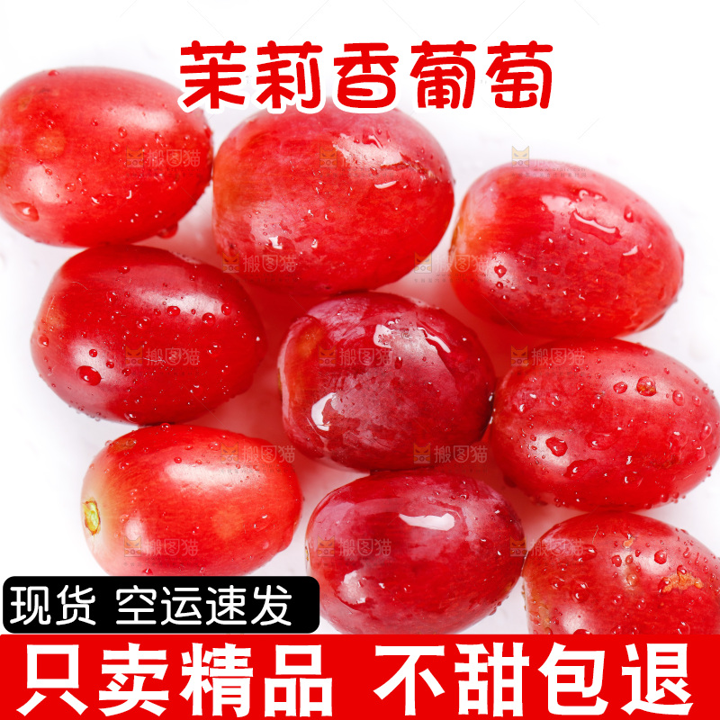 茉莉香葡萄