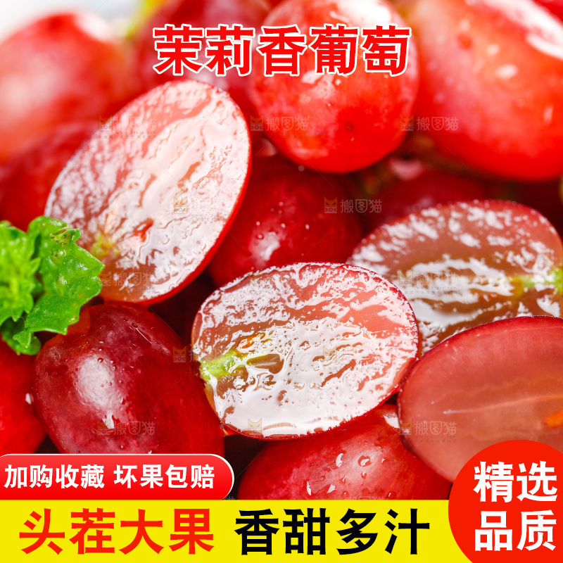 茉莉香葡萄