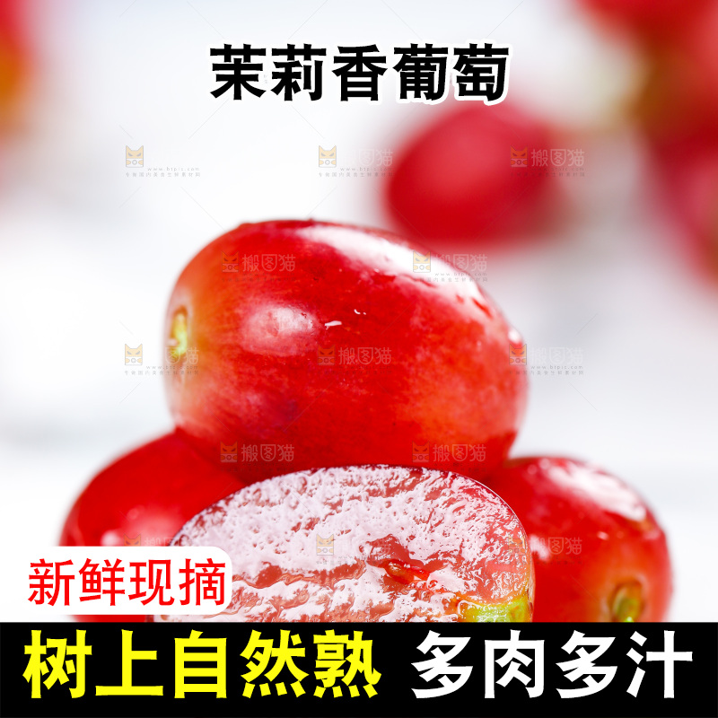 茉莉香葡萄