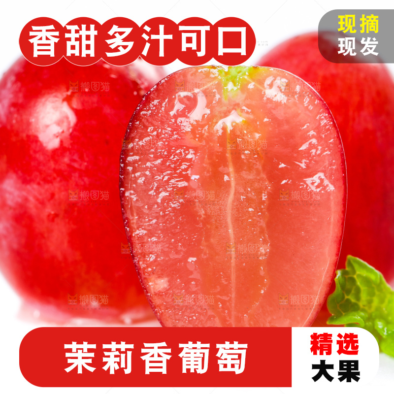 茉莉香葡萄