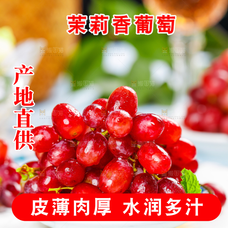 茉莉香葡萄