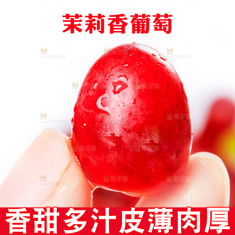 茉莉香葡萄