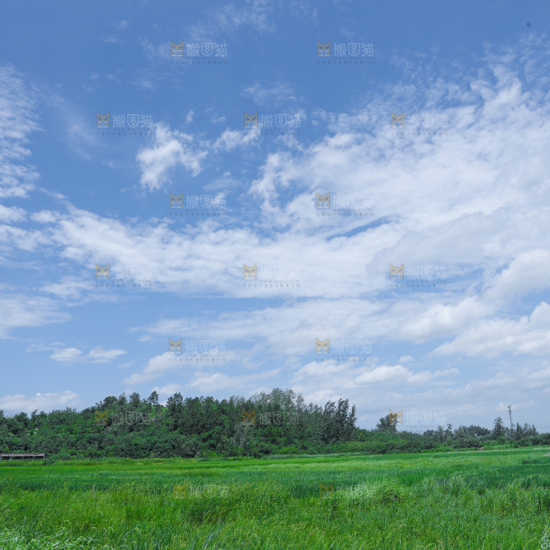 蓝天稻田