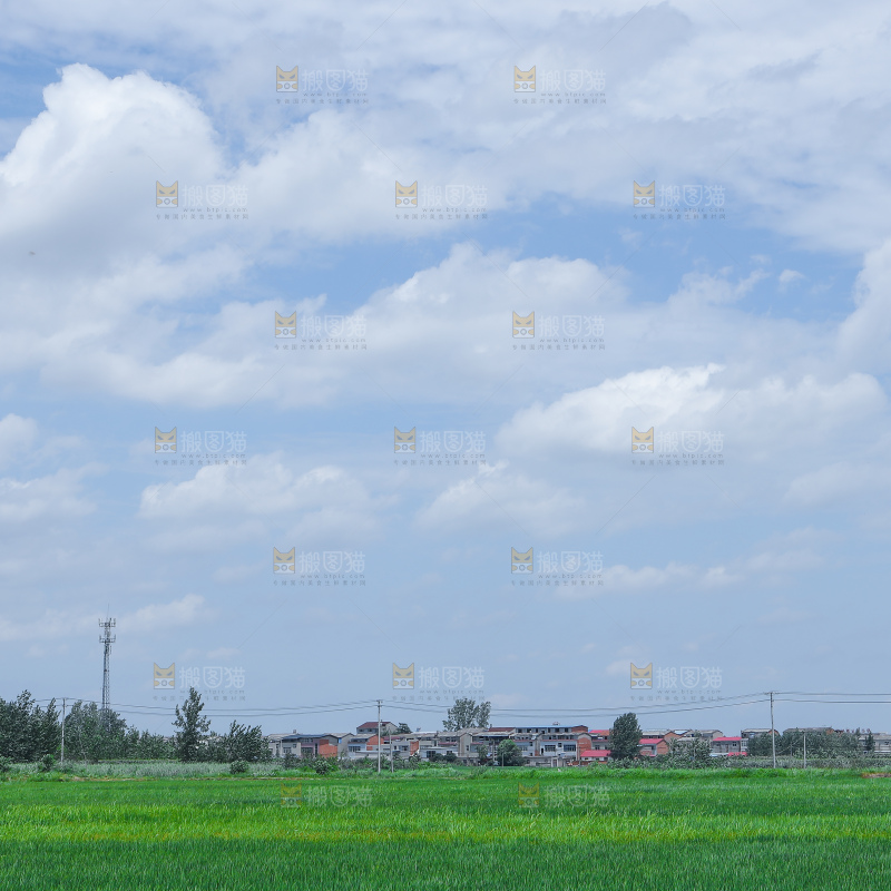 蓝天稻田